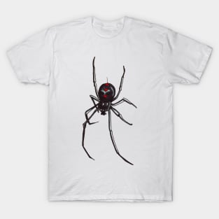 Black Widow Spider Decending T-Shirt